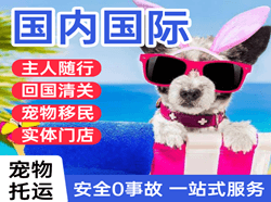 淮安空运公司国际宠物托运 【国